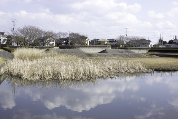蓮沼公園