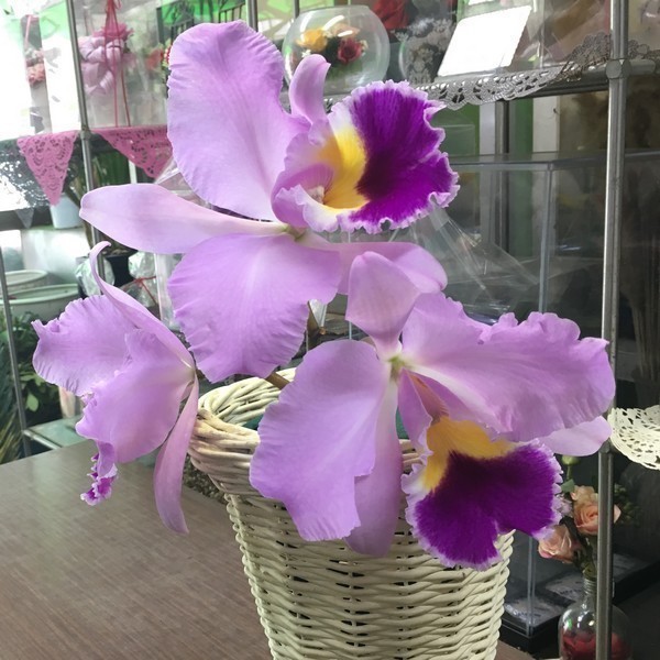 花正生花店