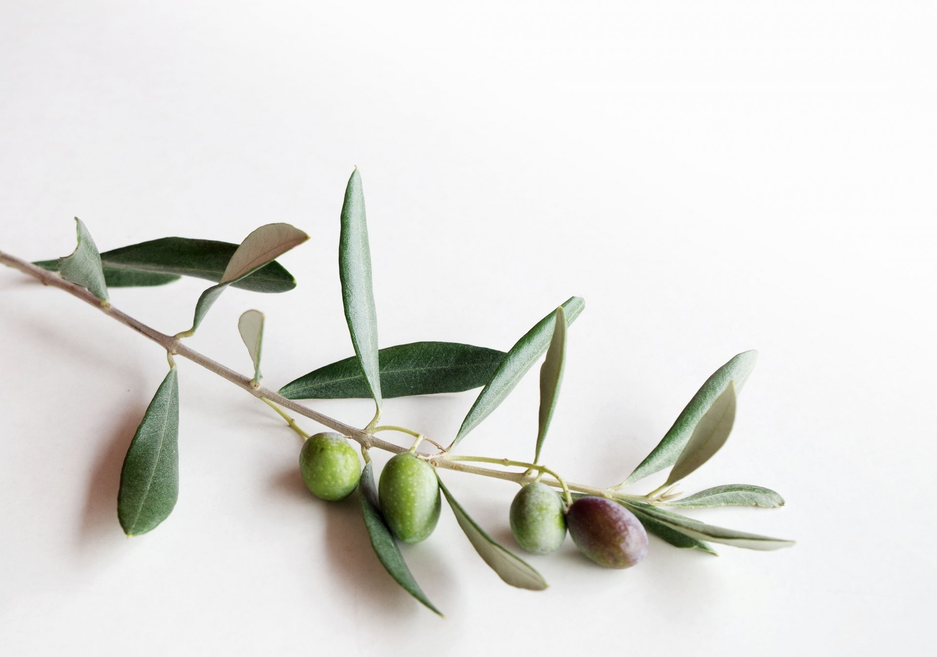 キャリアあるスタッフによるマッサージ