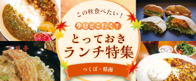 つくば・県南エリアランチ特集