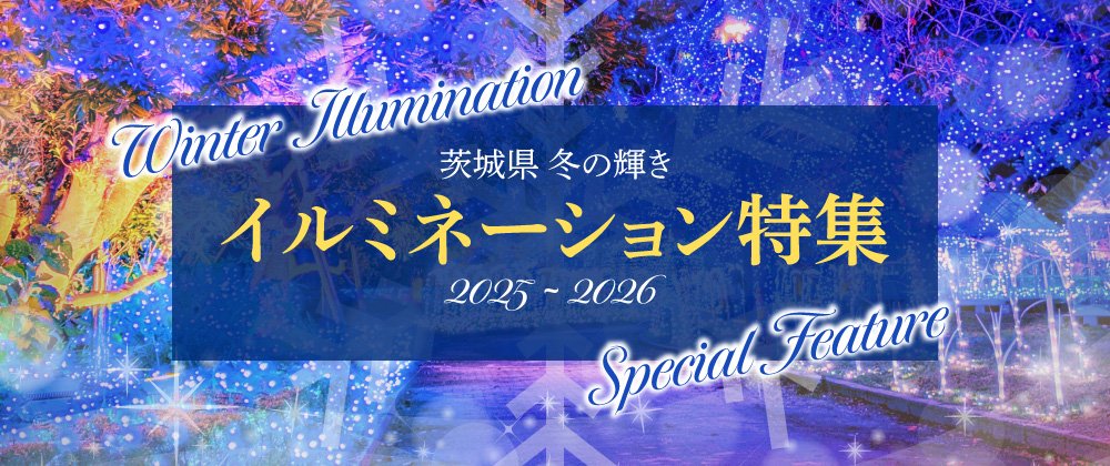 茨城県 クリスマス イルミネーション　スポット